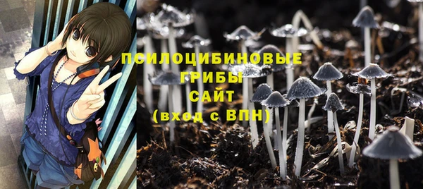 дживик Михайлов