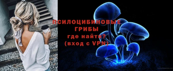 дживик Михайлов